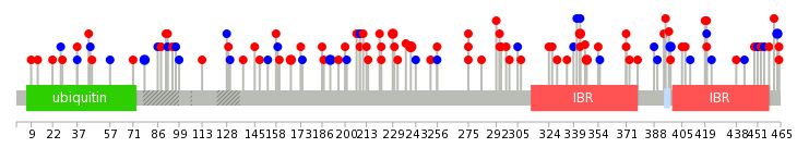 我们使用从合奏BioMart uniprot蛋白质结构数据的数据库。圆的大小显示了相对变异数。