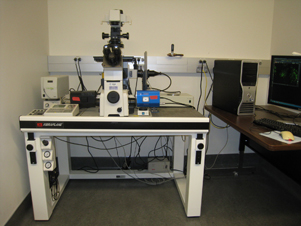 尼康Eclipse TE2000E宽视野荧光显微镜