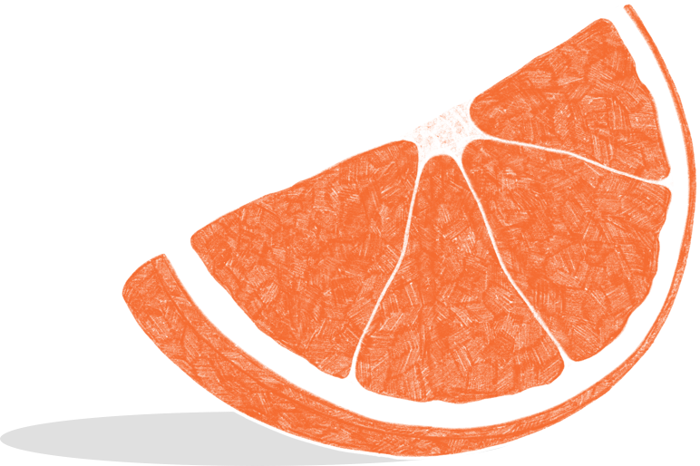 橙片的插图