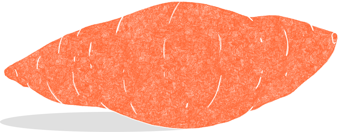 Illustration of sweet potato